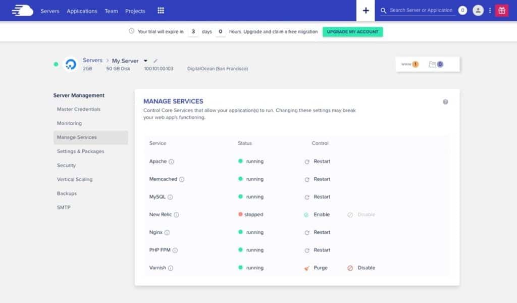 Guide d’installation d’un hébergement WordPress géré sur le cloud avec Cloudways 10 Gestion de services dans CloudWays
