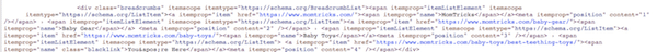 Schema Markup No Plugin