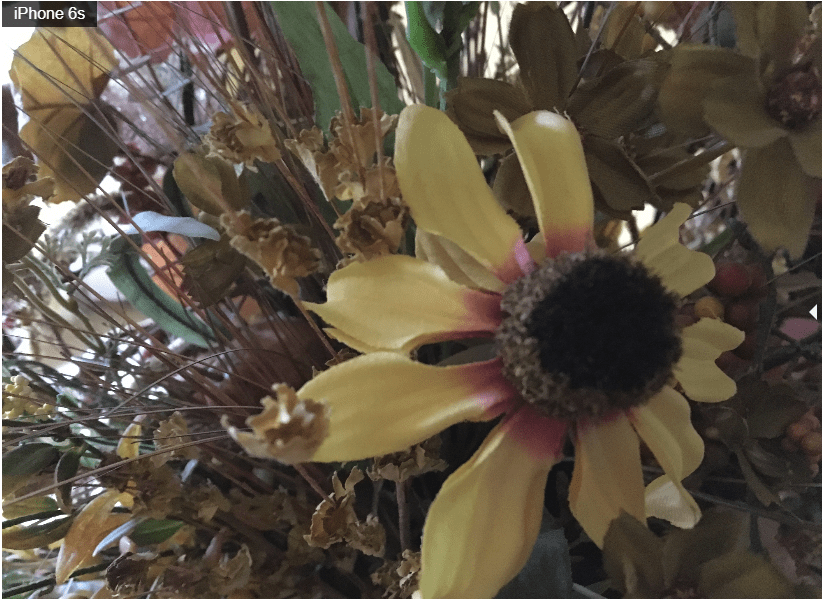 9 façons de briser l'algorithme d'Instagram pour une meilleure portée et plus de j’aime 11 iPhone 6
